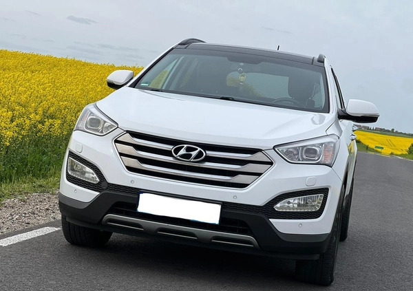 Hyundai Santa Fe cena 80800 przebieg: 219000, rok produkcji 2015 z Toruń małe 106